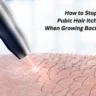 How to Stop Pubic Hair Itching When Growing Back Female